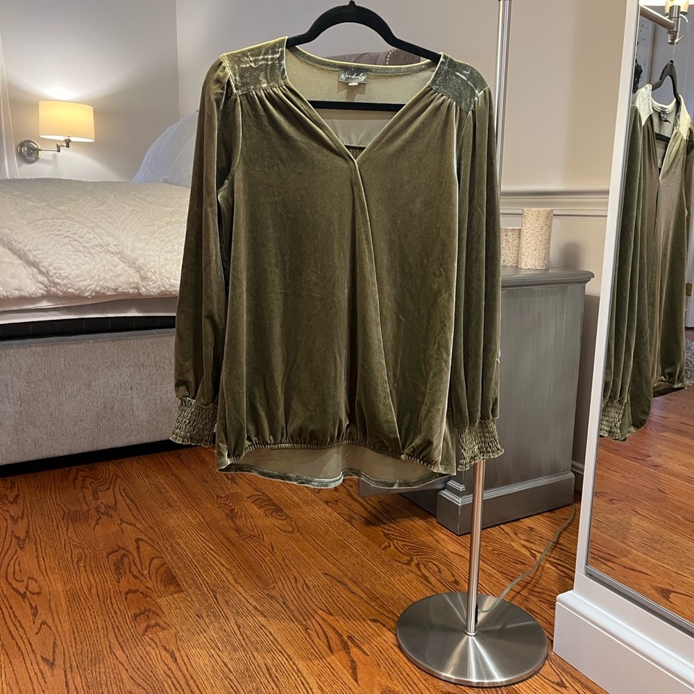 Wonderly Green Velvet Top